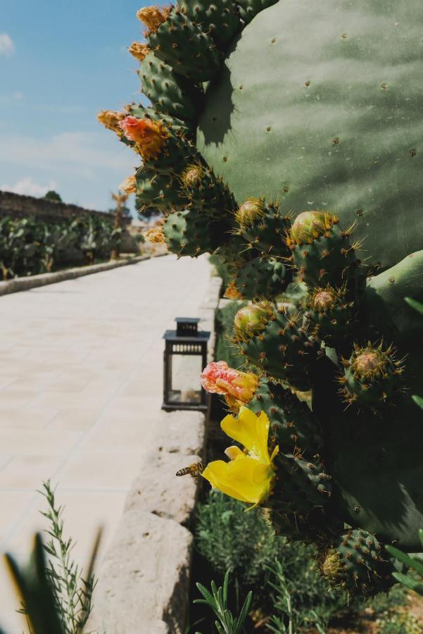 Masseria Paralupi Bed & Breakfast Lecce Dış mekan fotoğraf